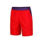 Abbigliamento Lacoste Shorts