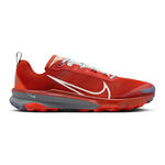 Scarpe Da Corsa Nike Terra Kiger 9