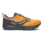 Scarpe Da Corsa Saucony Peregrine 14 GTX