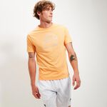 Abbigliamento Ellesse Blakeney Tee