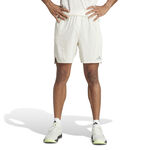 Abbigliamento adidas D4T Heat Ready Short