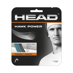 Corde Da Tennis HEAD Hawk Power 12m grau
